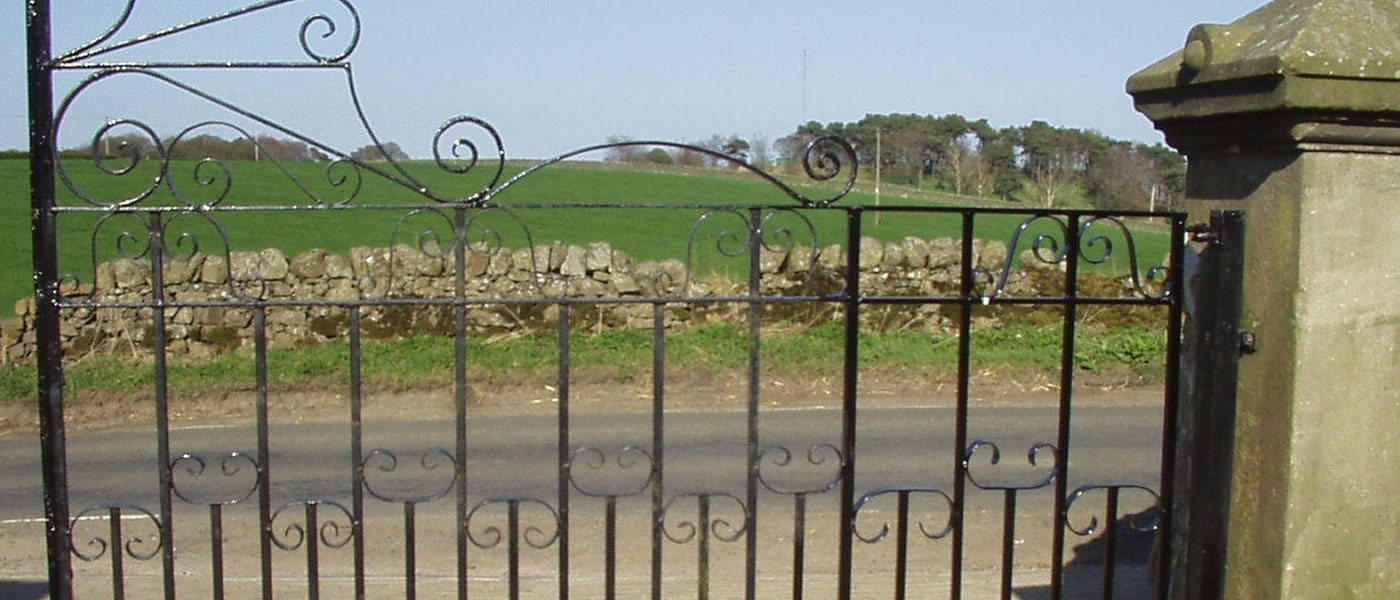 Double Gate